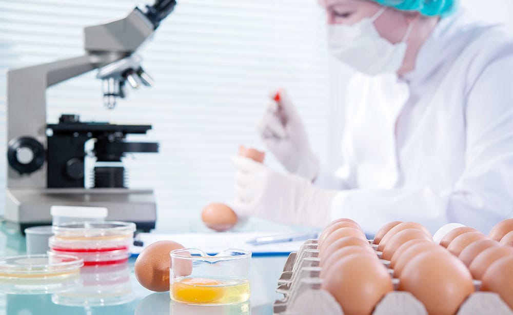 Food safety image