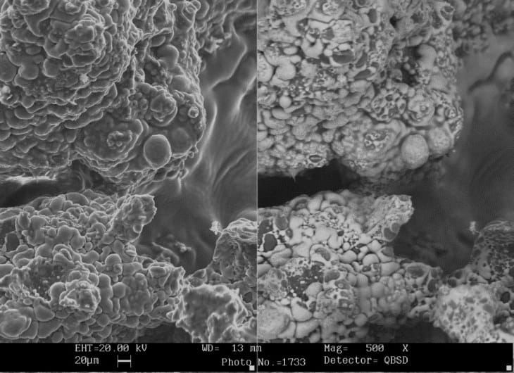 Stale-Biscuit-Microscopy-Leatherhead-Food-Research_2