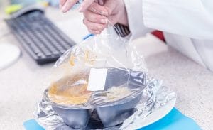 UKAS accredited cooking instruction laboratory | Leatherhead Food Research