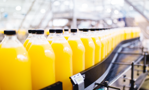 Sustainability | audit value chain
